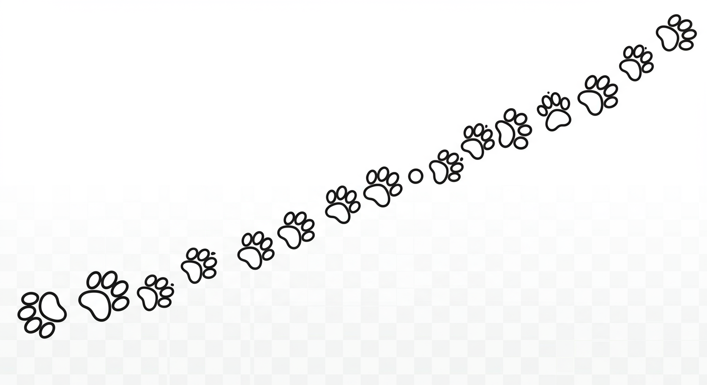 Paw Prints